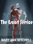 The Escort Service synopsis, comments