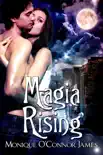 Magia Rising synopsis, comments