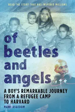 of beetles and angels book cover image