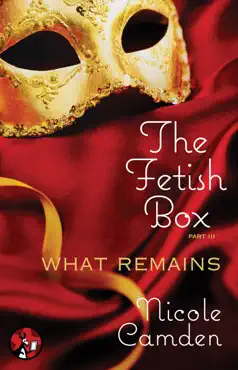 the fetish box, part three book cover image