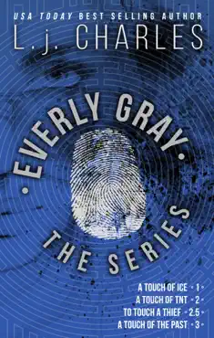 the everly gray adventures book cover image