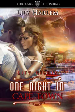 one night in cape town book cover image