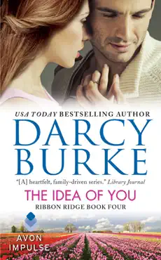 the idea of you book cover image