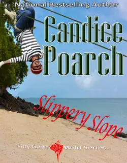 slippery slope book cover image