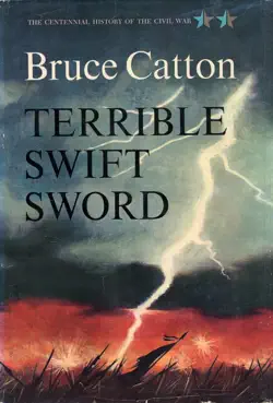 terrible swift sword book cover image