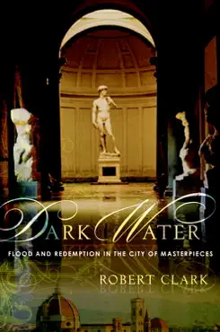 dark water book cover image