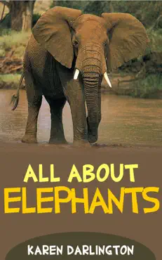 all about elephants book cover image