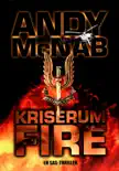 Kriserum 4 synopsis, comments