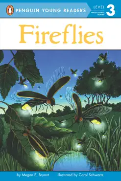 fireflies book cover image