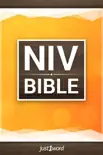 NIV Bible synopsis, comments