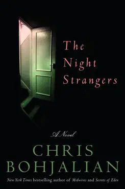 the night strangers book cover image