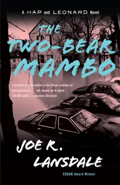 the two-bear mambo book cover image
