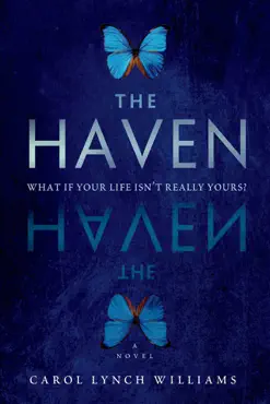 the haven book cover image