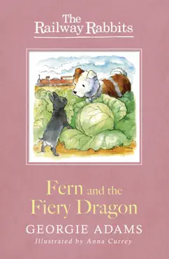 fern and the fiery dragon imagen de la portada del libro