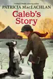Caleb's Story sinopsis y comentarios