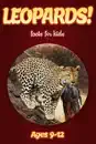 Leopard Facts For Kids 9-12