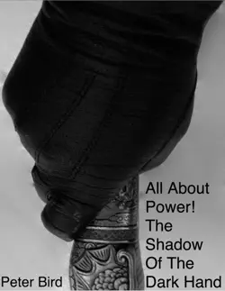 all about power! book cover image
