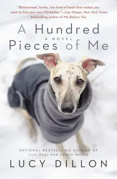 a hundred pieces of me book cover image