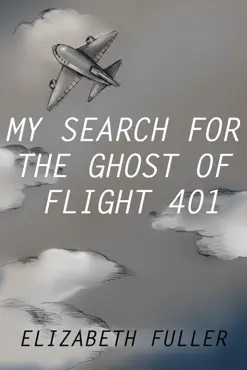 my search for the ghost of flight 401 book cover image