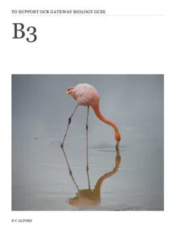 b3 book cover image