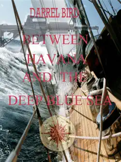 between havana and the deep blue sea book cover image