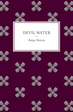 devil water imagen de la portada del libro