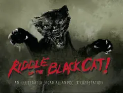 riddle of the black cat book cover image