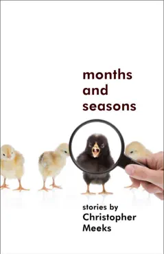months and seasons book cover image