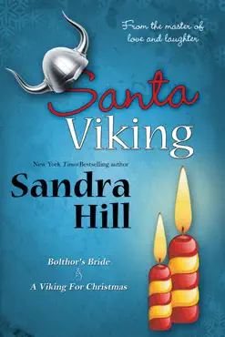 santa viking book cover image