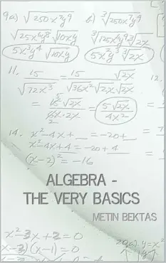algebra - the very basics book cover image