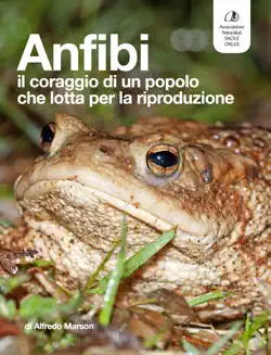 anfibi book cover image