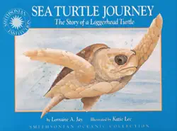 sea turtle journey book cover image