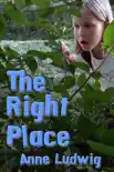 The Right Place synopsis, comments