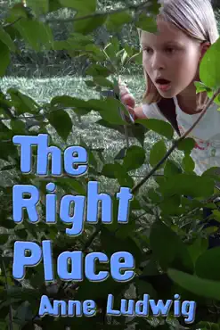 the right place book cover image