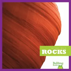 rocks book cover image