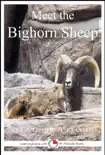 Meet the Bighorn Sheep: A 15-Minute Book for Early Readers sinopsis y comentarios