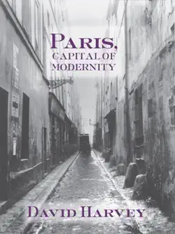 paris, capital of modernity book cover image