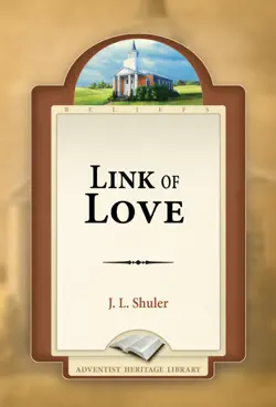 link of love imagen de la portada del libro