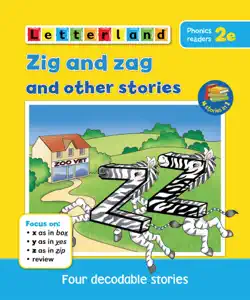 zig and zag and other stories book cover image