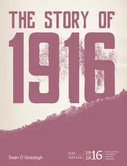 the story of 1916 book cover image