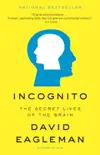 Incognito synopsis, comments