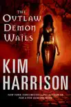 The Outlaw Demon Wails synopsis, comments