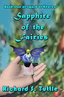 sapphire of the fairies book cover image
