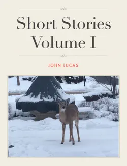 short stories volume i book cover image