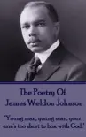The Poetry Of James Weldon Johnson synopsis, comments
