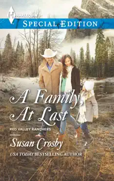 a family, at last book cover image