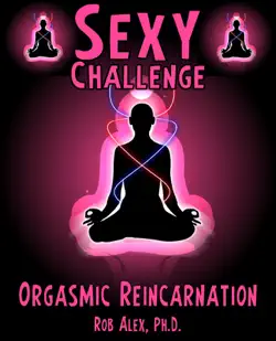 sexy challenges - orgasmic reincarnation book cover image