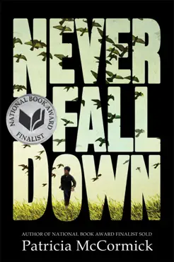 never fall down book cover image