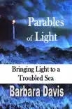 Parables of Light synopsis, comments