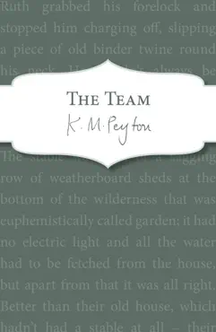 the team imagen de la portada del libro